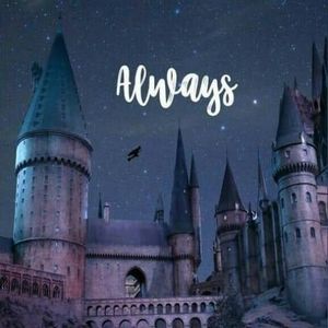 Meet your Posher, Raygen